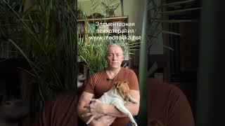Все лекарства по рецепту