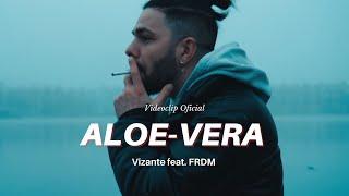 Vizante  @FRDMOfficial - ALOE VERA (Videoclip Oficial)