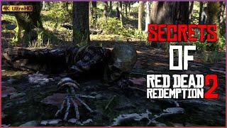 You Passed Here Many Times But You Didn't Know These Secrets | RDR2