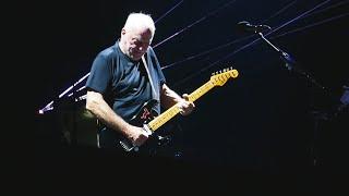 David Gilmour - Comfortably Numb Live ROMA Circo Massimo, 27 Settembre 2024