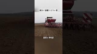 밥만 먹었는데 술 취한다고?