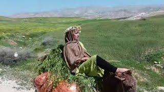 Beautiful riding :The beautiful ride of a nomadic woman on the mountainVery heavy load   ‍