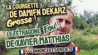 La courgette (grosse !) de DAMIEN DEKARZ et le tétragone (fou!) de XAVIER  MATTHIAS !