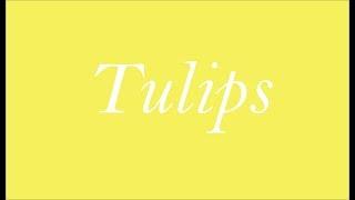 Tulips ~ A Short Film by Matt Travers