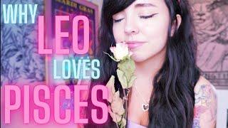 LEO and PISCES| LOVE COMPATIBILITY | Synastry | Story Book Romance?| Can it work?