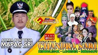 Live Siang l Chandra Sari l Acara Adat Desa l Mapag Sri Desa Legok - Lohbener - Indramayu l 01-05-24