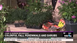 Colorful Fall Perennials and Shrubs
