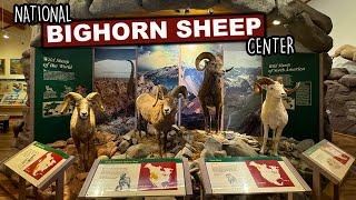 Taking A Stroll Through The National Bighorn Sheep Center | Dubois, Wyoming