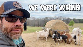 Did We Make a BIG Mistake Or Will It Be OK?