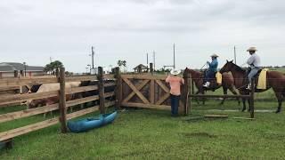 florida cracker cowhands