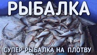 СУПЕР РЫБАЛКА НА ПЛОТВУ / ОТЛИЧНЫЙ УЛОВ / БЕШЕНЫЙ КЛЕВ НА КУРЬЕ
