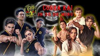 Cobra Kai in 38 de minute