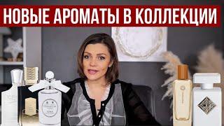 НОВЫЕ АРОМАТЫ // ШИКАРНЫЕ АРОМАТЫ // ТОП АРОМАТОВ #парфюмерия #парфюм