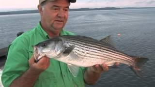 Striper show on West Point 2012