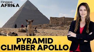 Egypt: The Dog Who Conquered The Great Pyramids of Giza | Firstpost Africa