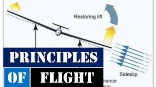 Principles of flight | CFI Checkride prep