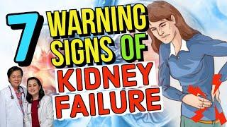 7 Warning Signs of Kidney Failure - By Doctor Willie Ong (Internist & Cardiologist)