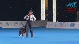 FCI Dog dance World Championship 2016 –Heelwork to music final - ButrimovaTamila and Illai (Russia)