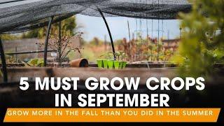 5 Must-Grow Crops to Plant in September | Grow MORE in the Fall than You did in the Summer