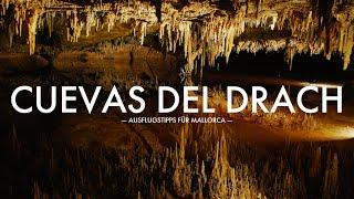 Stalactite caves "Cuevas del Drach" & Porto Cristo - Excursion in Mallorca