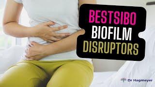 Biofilm Disruptors For SIBO.Here are 5 Recommend To Get Rid of SIBO