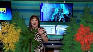 WATCH: KSAT12's Kaiti Blake explains why trees are so important to our communities