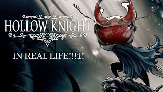 Hollow Knight NPCs If They Were Real-LIfe Bugs (WOAH....)