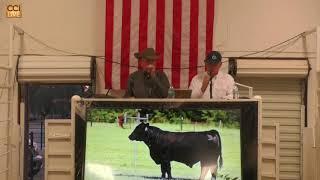 Griswold Cattle Co GBar Bull Sale LiveOnline Oct 2024_Oct21_19-33-43.mp4