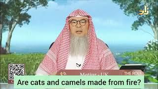 Are cats & camels made from fire? (Jinns)? - assim al hakeem