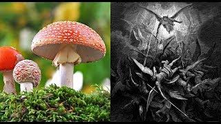 Psychedelics, Drugs, & The Bible: Fallen Angel Sorcery