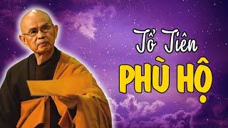 Người Có Ông Bà Tổ Tiên Phù Hộ Thường Có Dấu Hiệu Này.. | Thiền Sư THÍCH NHẤT HẠNH [PPUD]