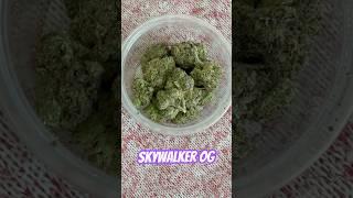 Skywalker Og Strain Review