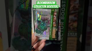 SQUIRREL️ Bloomburrow collector booster! #mtg #magicthegathering #bloomburrow #collectorbooster