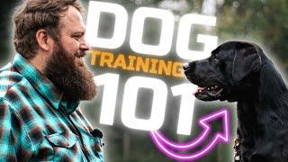 How To Train The Perfect Dog - Simple First Steps