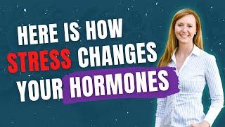 How Does Stress Affect Hormones?