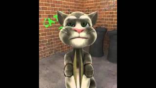 Talking Tom on mexico