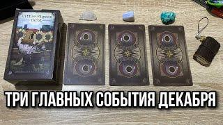 ТРИ ГЛАВНЫХ СОБЫТИЯ ДЕКАБРЯ  гадание на таро Голубей Karina Tarot Reader