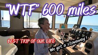 # 6 "WTF" final push...600 mile houseboat adventure! WE DID IT