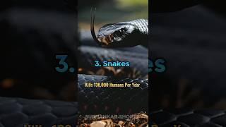 Top 10 Dangerous Animals in the World #shorts @SubhankarShortz