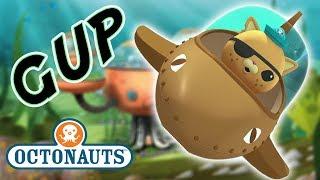 Octonauts - The GUPS Close Up | Cartoons for Kids | Underwater Sea Education