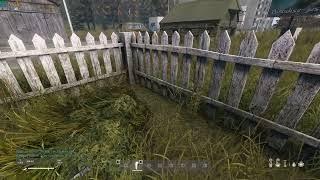 Скрытое убийство в DayZ