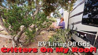 What You Been Waiting For! My Plans For Home Base & What's Working & Not After Winter | RV Off Grid
