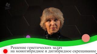 Решение генетических задач на моногибридное и дигибридное скрещивание. 9 класс.