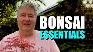 Essential Bonsai Knowledge You Can’t Afford to Miss