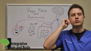 The Vagus Nerve and Autoimmunity