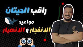 الحيتان بتلعبها صح…!  اكتشف السر وراء تحركات السوق!