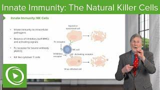 Innate Immunity: The Natural Killer Cells