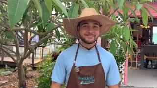 Proper watering for the Florida Landscape