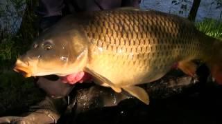 Carl And Alex Go Carp Fishing in France FULL VERSION