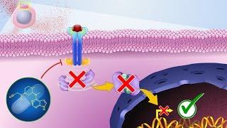 Mechanism of Action of JAK Inhibitors